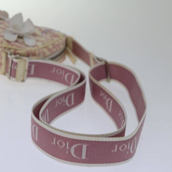 Dior Trotter Shoulder Bag - Picture 4 of 16